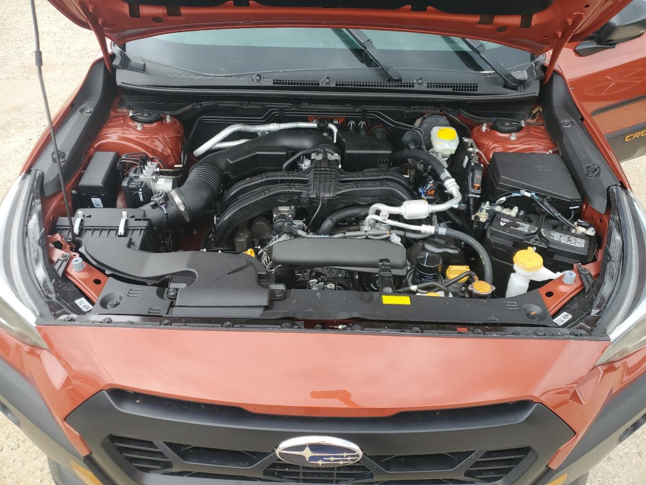 4S4GUHU60R3776300 2024 Subaru Crosstrek Wilderness