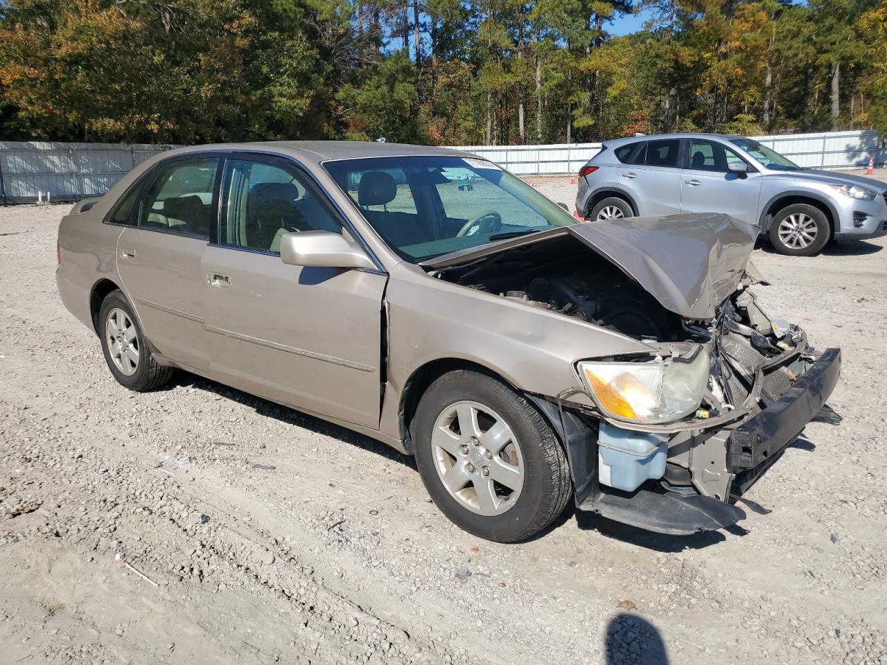 2002 Toyota Avalon Xl VIN: 4T1BF28B02U247986 Lot: 77789974