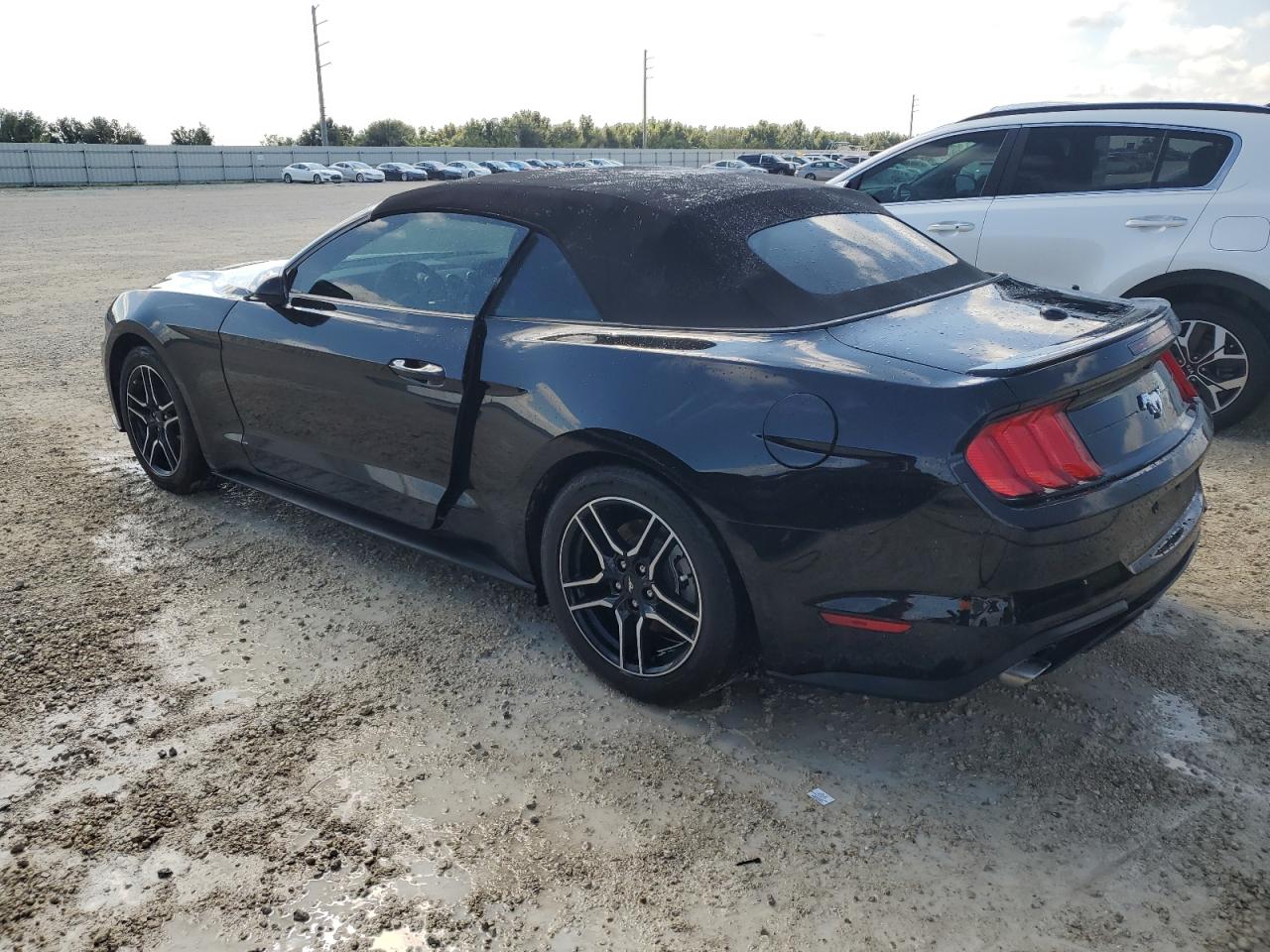 1FATP8UH5N5142223 2022 FORD MUSTANG - Image 2