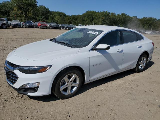 1G1ZC5ST3RF134426 Chevrolet Malibu LS