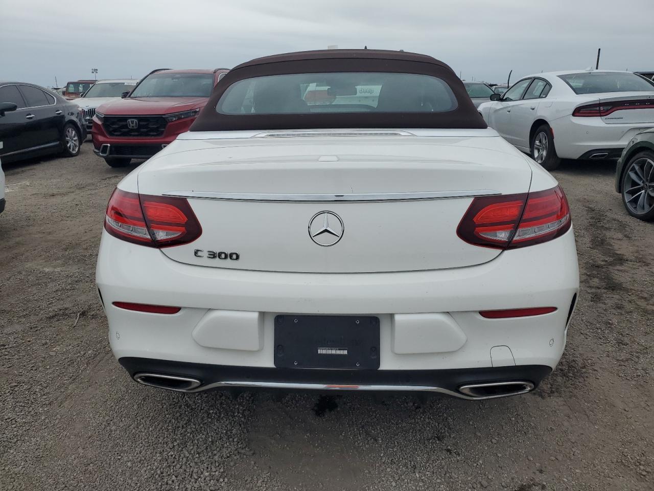 2019 Mercedes-Benz C 300 VIN: WDDWK8DB7KF796878 Lot: 74570564