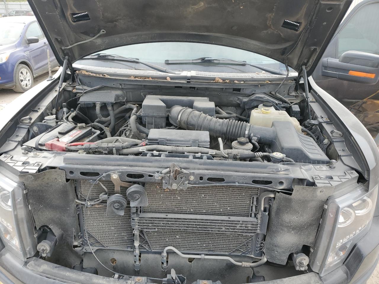 2011 Ford F150 Svt Raptor VIN: 1FTFW1R60BFD35152 Lot: 73935154