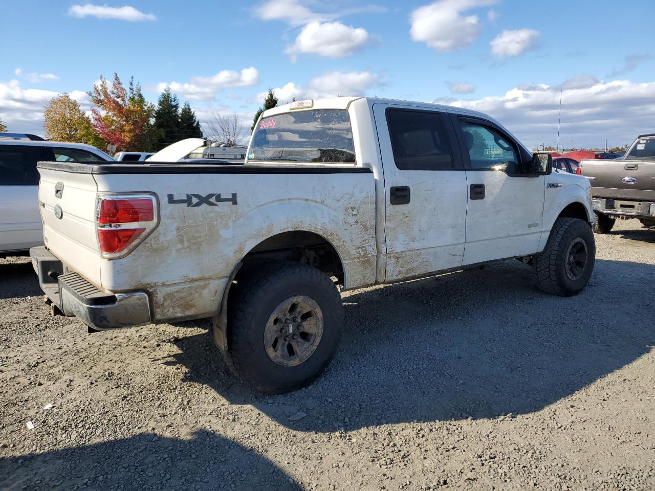 2013 Ford F-150 - Image 3