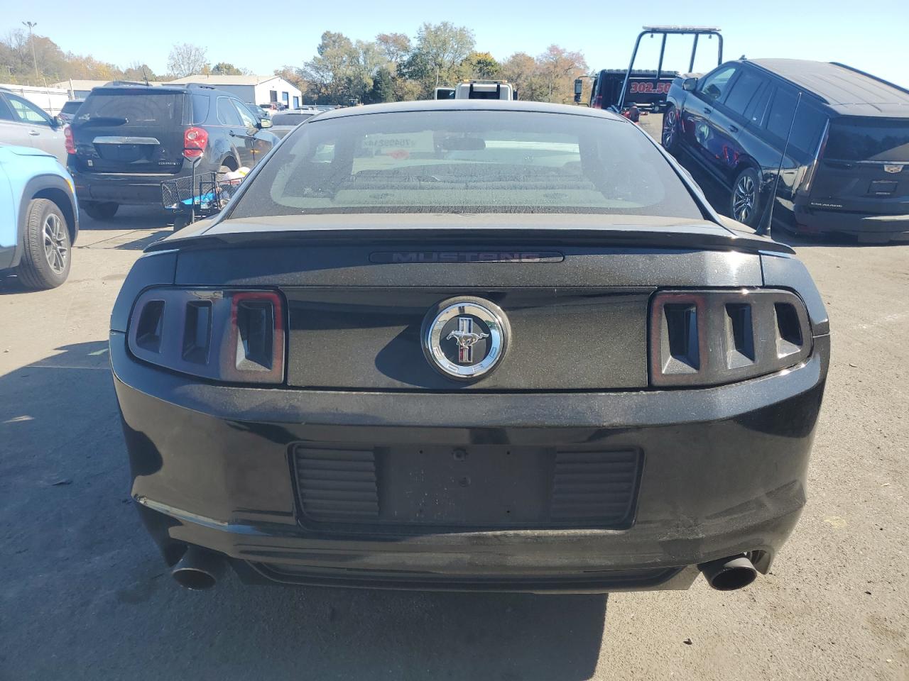 2013 Ford Mustang VIN: 1ZVBP8AM6D5240664 Lot: 75499214