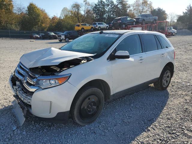  FORD EDGE 2014 White