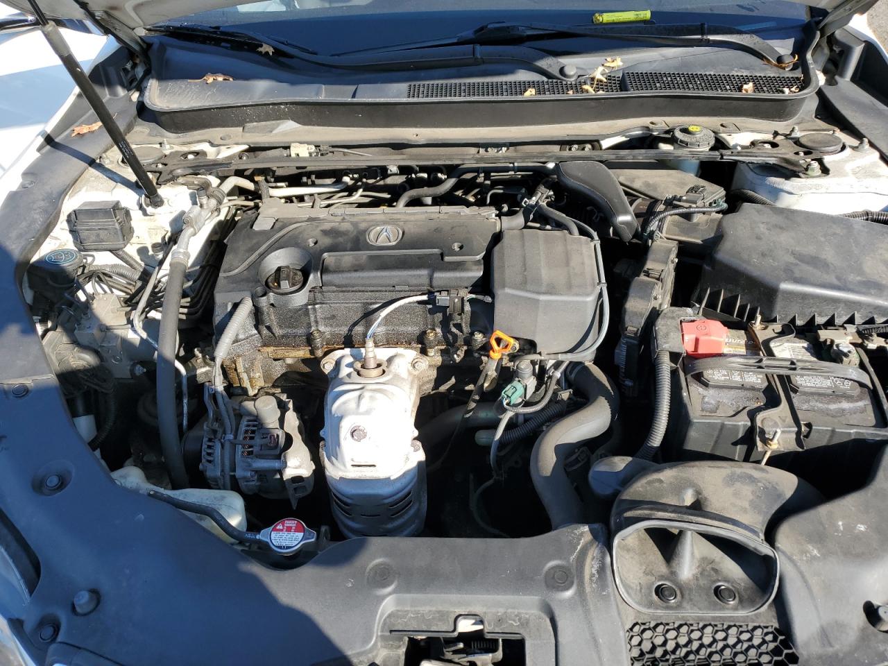 19UUB1F3XFA004466 2015 Acura Tlx