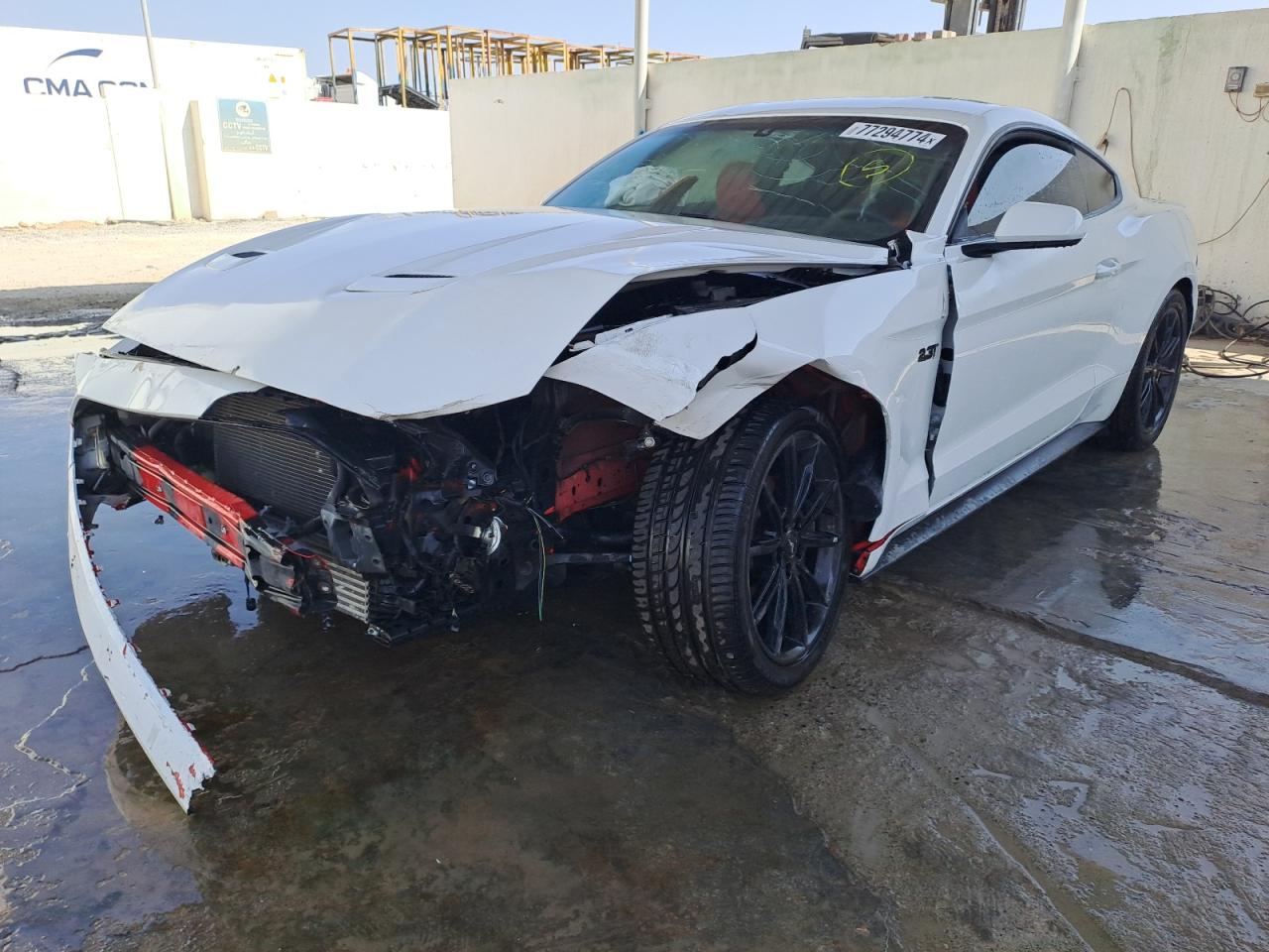 1FA6P8TH1L5124653 - 2020 Ford Mustang - #77294774