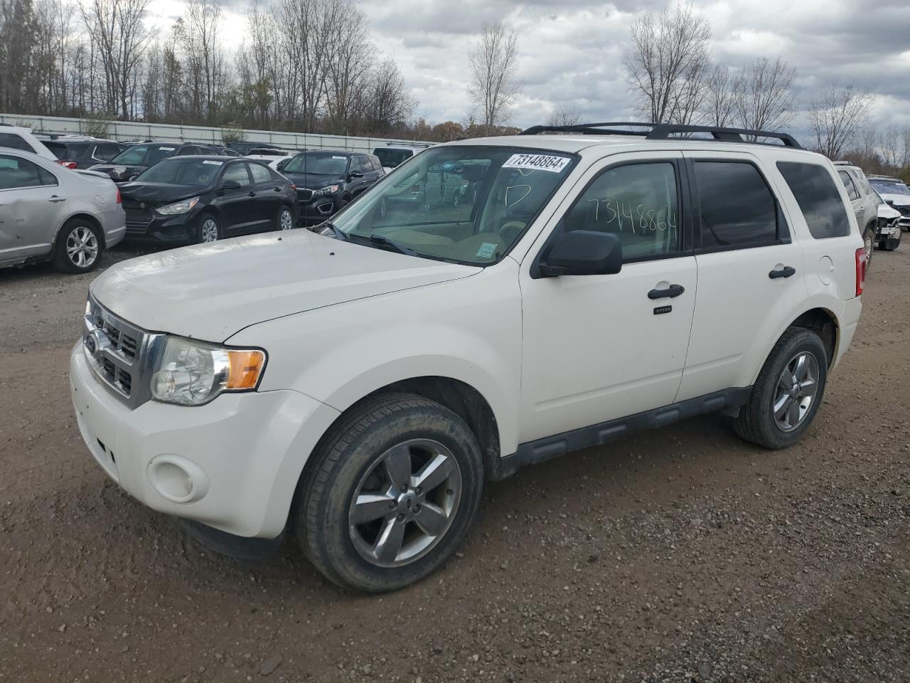 2010 Ford Escape Xlt იყიდება Davison-ში, MI - Minor Dent/Scratches
