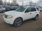 2010 Ford Escape Xlt   na sprzedaż w Davison, MI - Minor Dent/Scratches