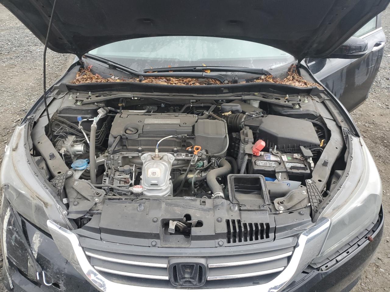 1HGCR2F81FA263467 2015 Honda Accord Exl