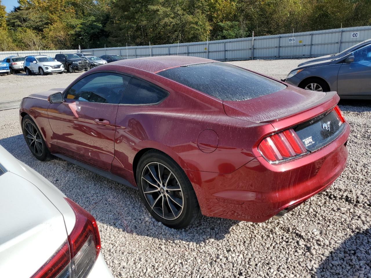 1FA6P8TH0F5340594 2015 FORD MUSTANG - Image 2