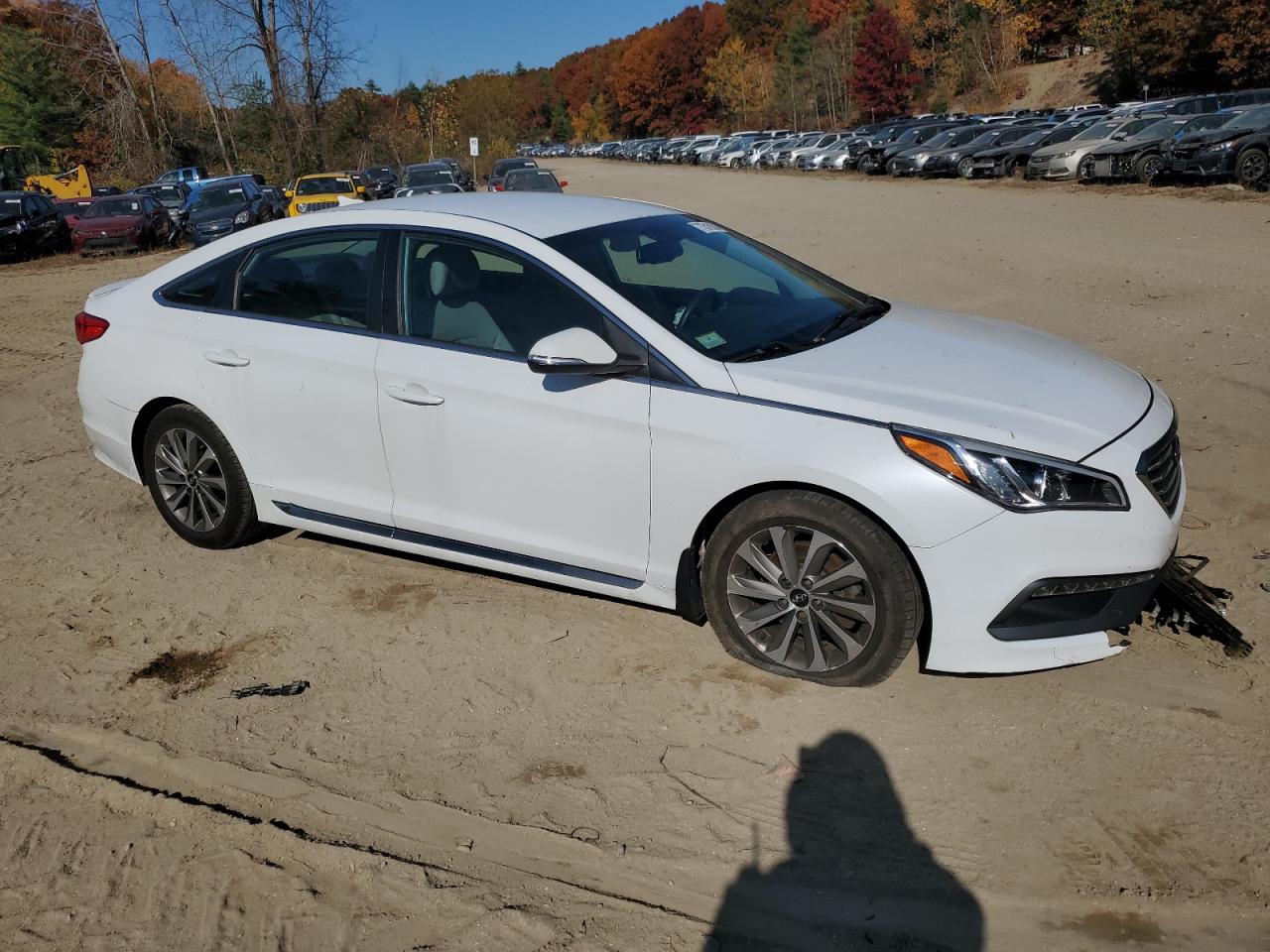 2016 Hyundai Sonata Sport VIN: 5NPE34AF9GH422613 Lot: 77518104