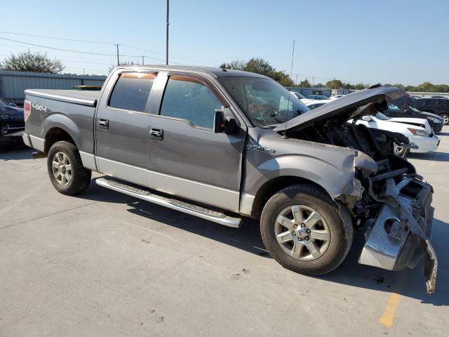 Pickups FORD F-150 2013 Szary