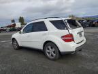 MERCEDES-BENZ ML 500 photo