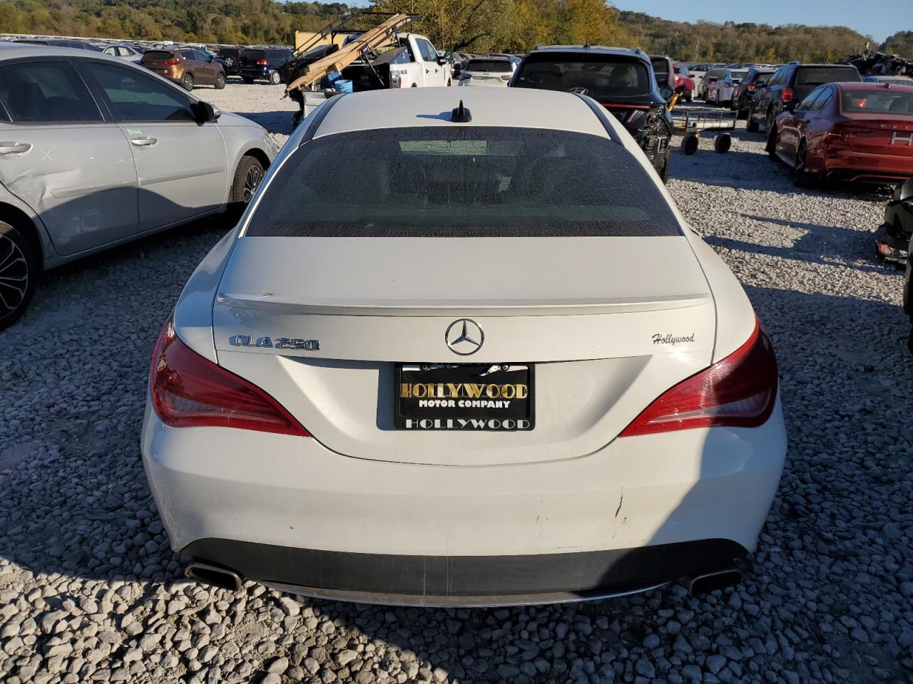 2014 Mercedes-Benz Cla 250 VIN: WDDSJ4EB2EN064564 Lot: 76903244