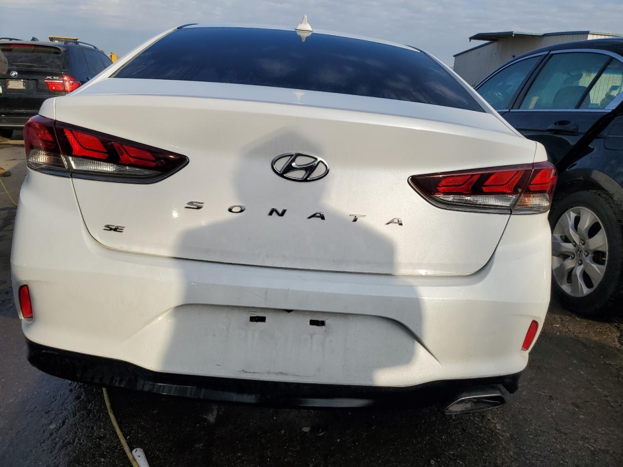 2019 Hyundai Sonata Se VIN: 5NPE24AF2KH779286 Lot: 77122554