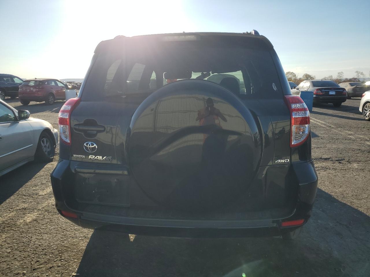 2010 Toyota Rav4 VIN: JTMBF4DV3AD022413 Lot: 77368794