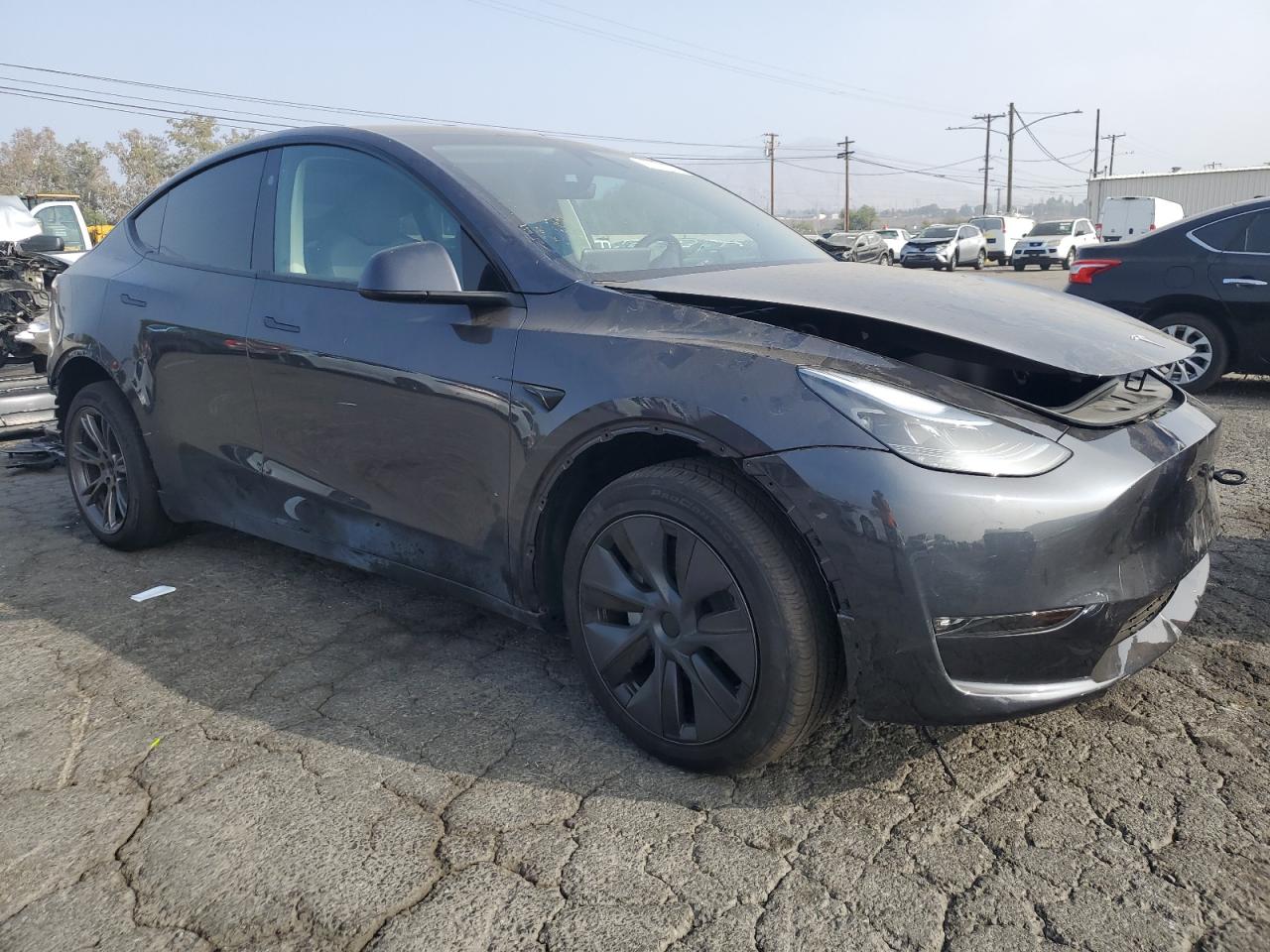 2024 Tesla Model Y VIN: 7SAYGDEE6RF178829 Lot: 76109244