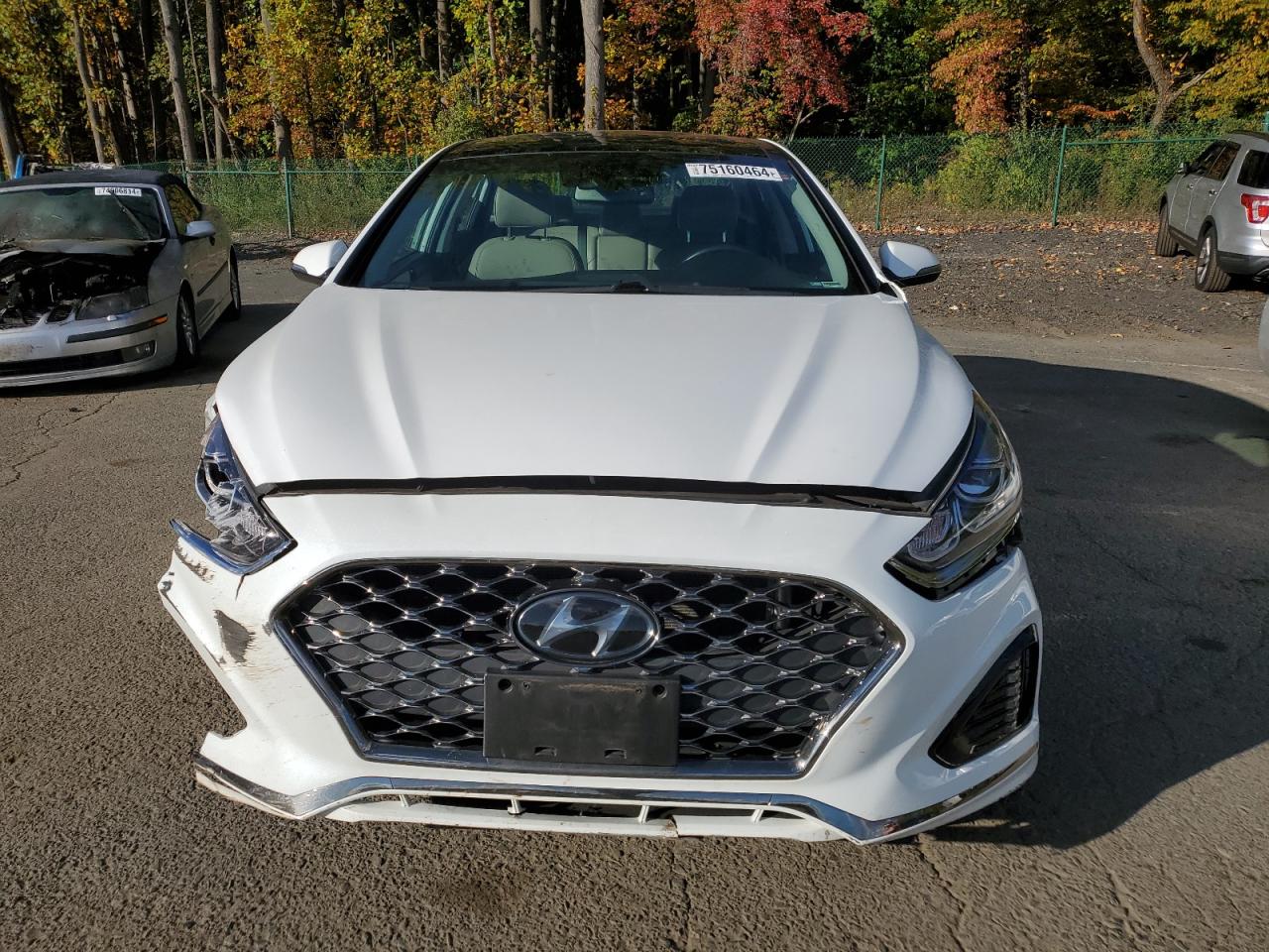 2019 Hyundai Sonata - Image 5