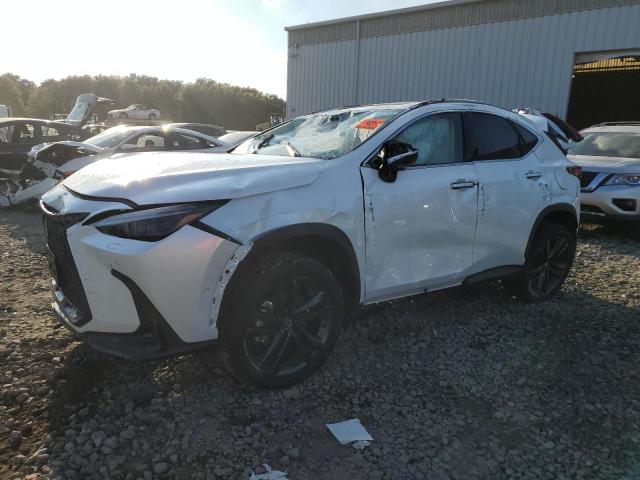 2024 Lexus Nx 450H Luxury