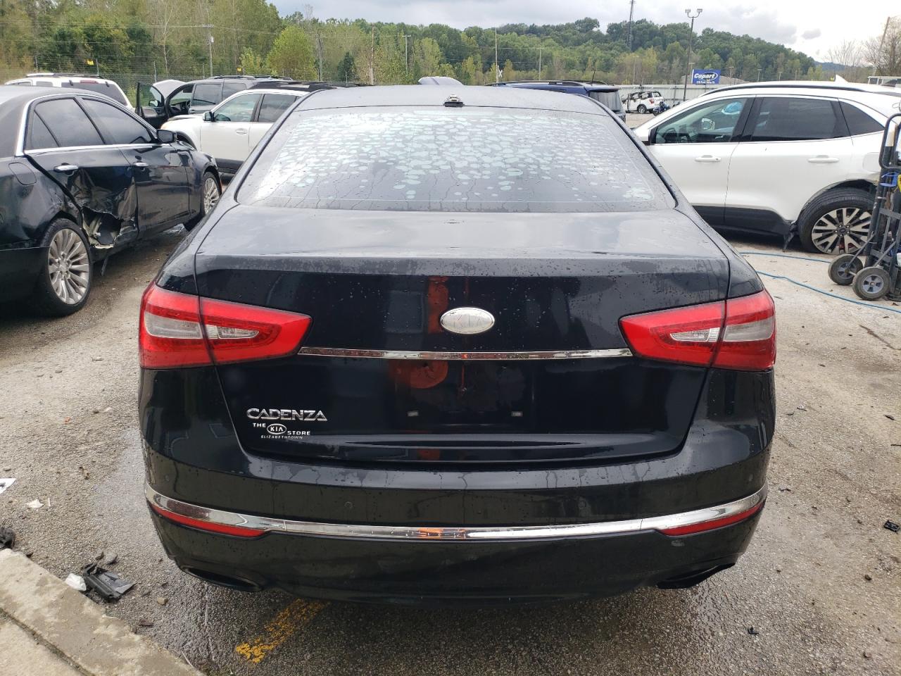 2014 Kia Cadenza Premium VIN: KNALN4D77E5142317 Lot: 73571124