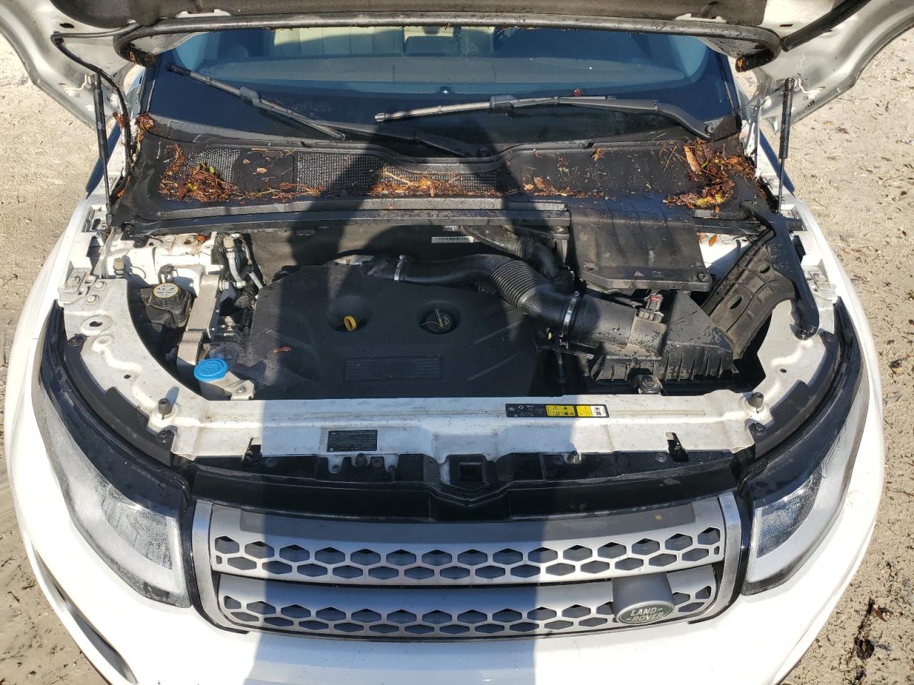 2017 Land Rover Range Rover Evoque Se VIN: SALVP2BG8HH169051 Lot: 76005414