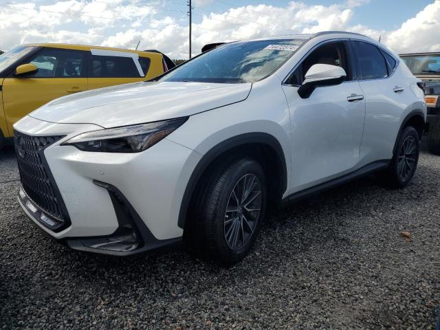 2024 Lexus Nx 250 Premium