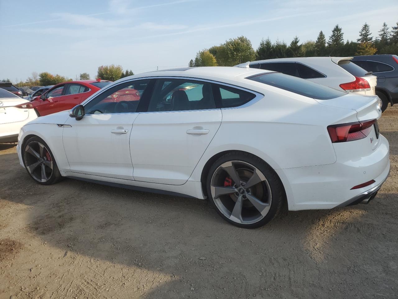 2019 Audi RS5 - Image 2