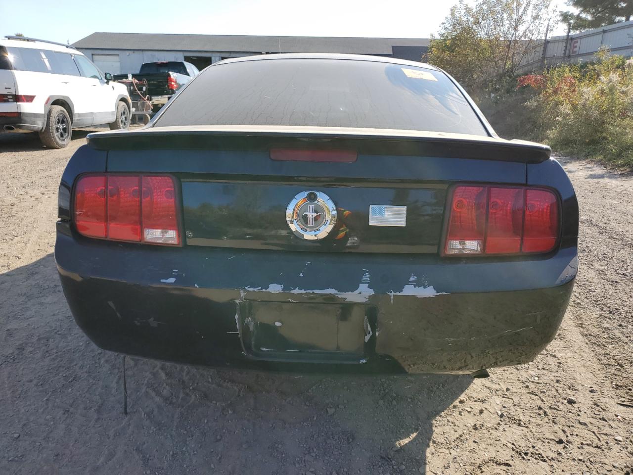 2008 Ford Mustang VIN: 1ZVHT80N685191357 Lot: 76941074