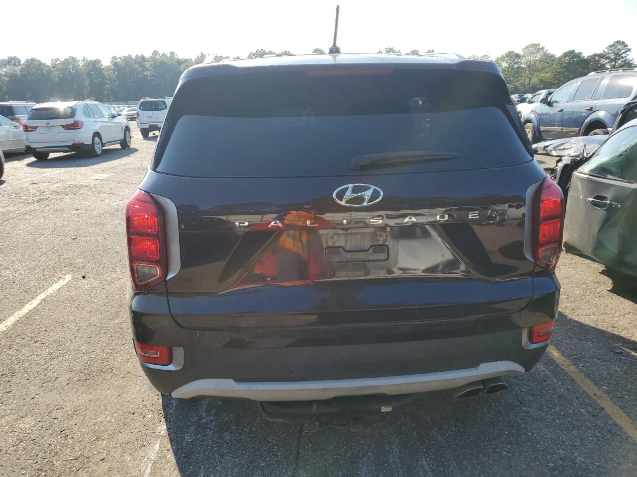 2020 Hyundai Palisade Sel VIN: KM8R24HE1LU145758 Lot: 74665084