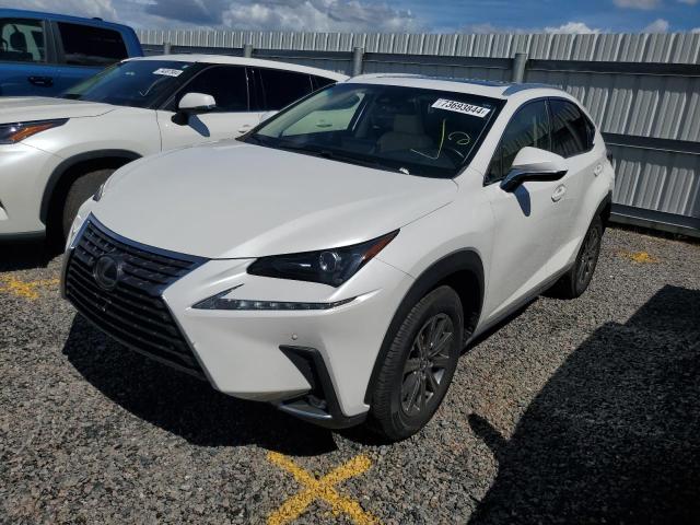  LEXUS NX 2019 Белы