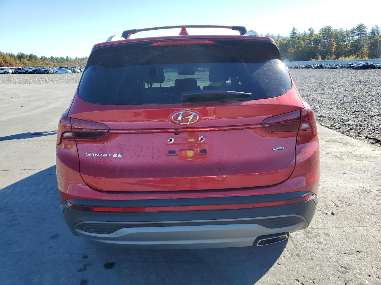 2023 Hyundai Santa Fe Sel VIN: 5NMS2DAJ8PH537680 Lot: 76574324