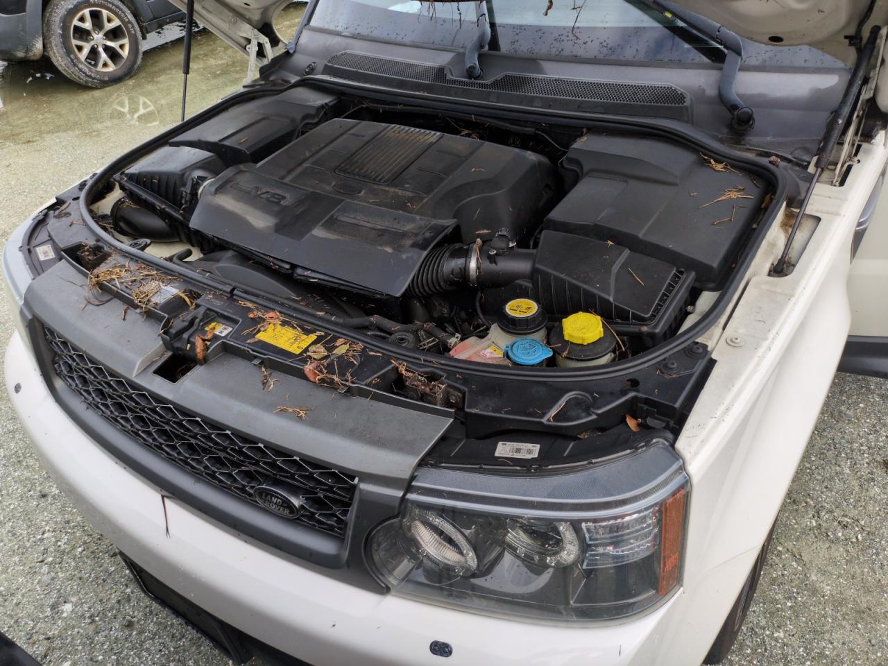 2010 Land Rover Range Rover Sport Lux VIN: SALSK2D49AA243483 Lot: 74469544