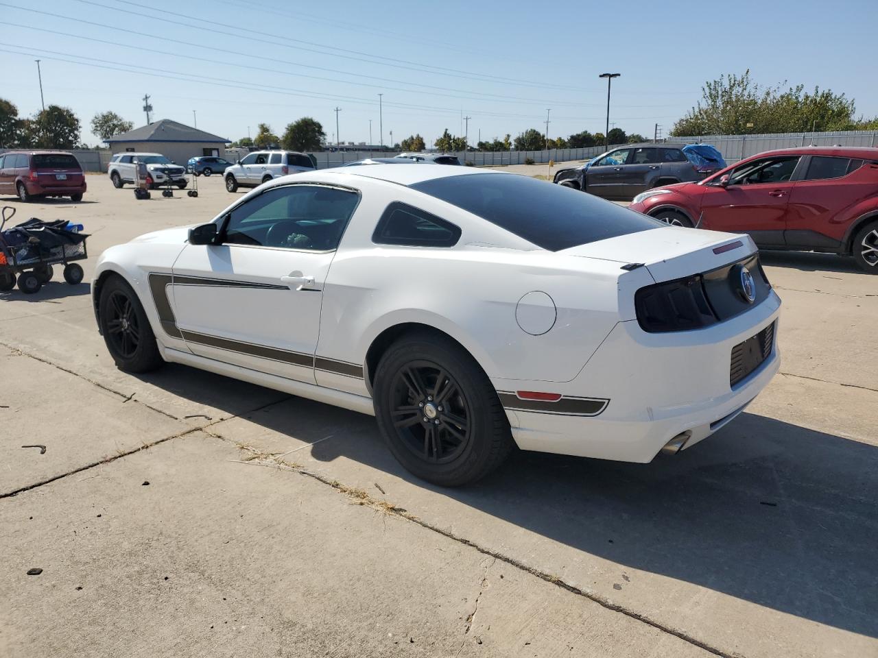 2013 Ford Mustang VIN: 1ZVBP8AMXD5271951 Lot: 76541264