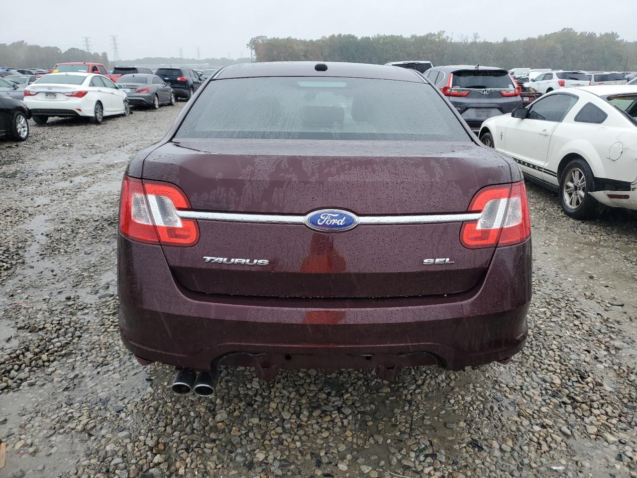 2011 Ford Taurus Sel VIN: 1FAHP2EW5BG174637 Lot: 78509434