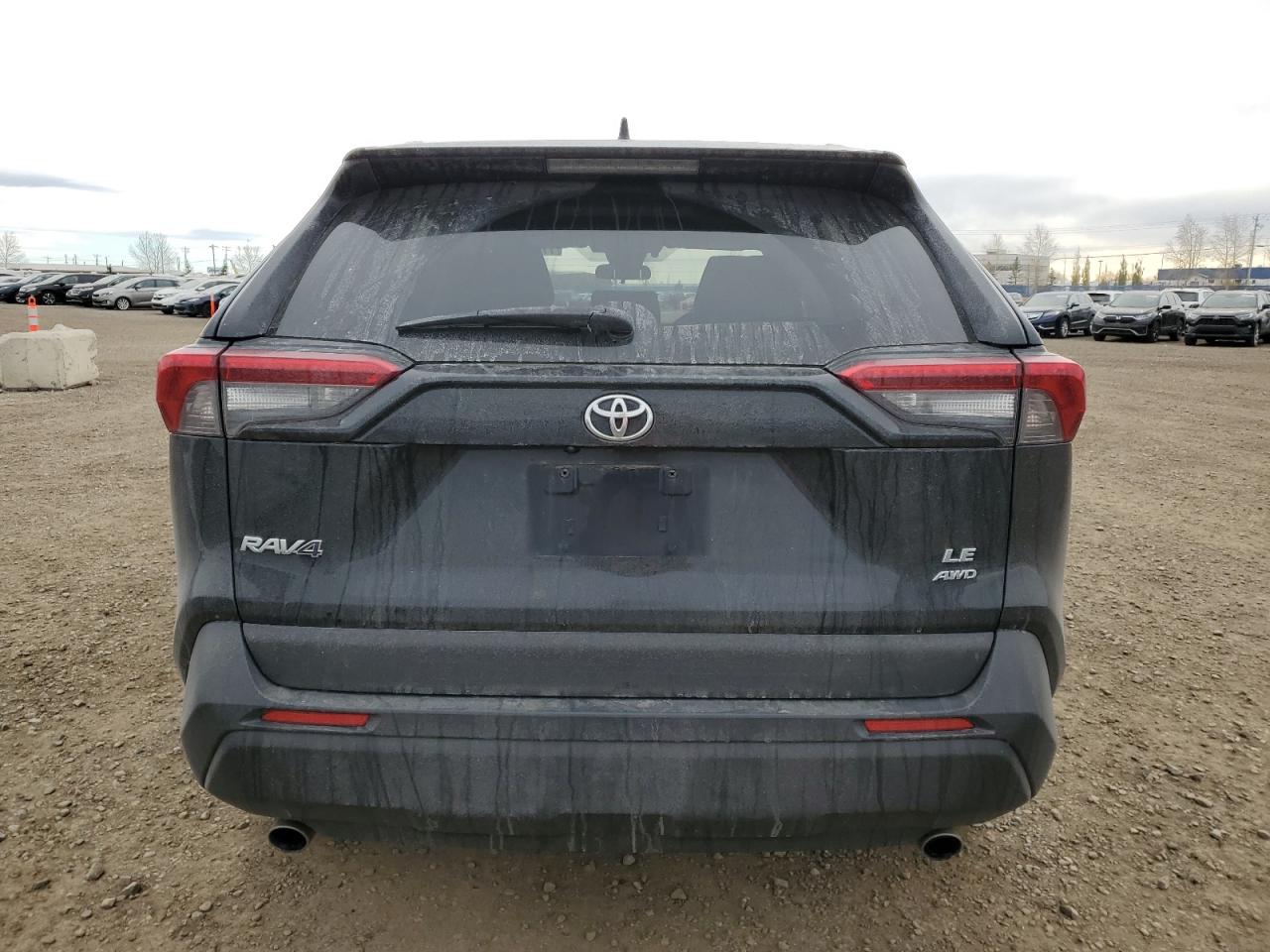 2019 Toyota Rav4 Le VIN: 2T3B1RFV7KW055573 Lot: 77807054