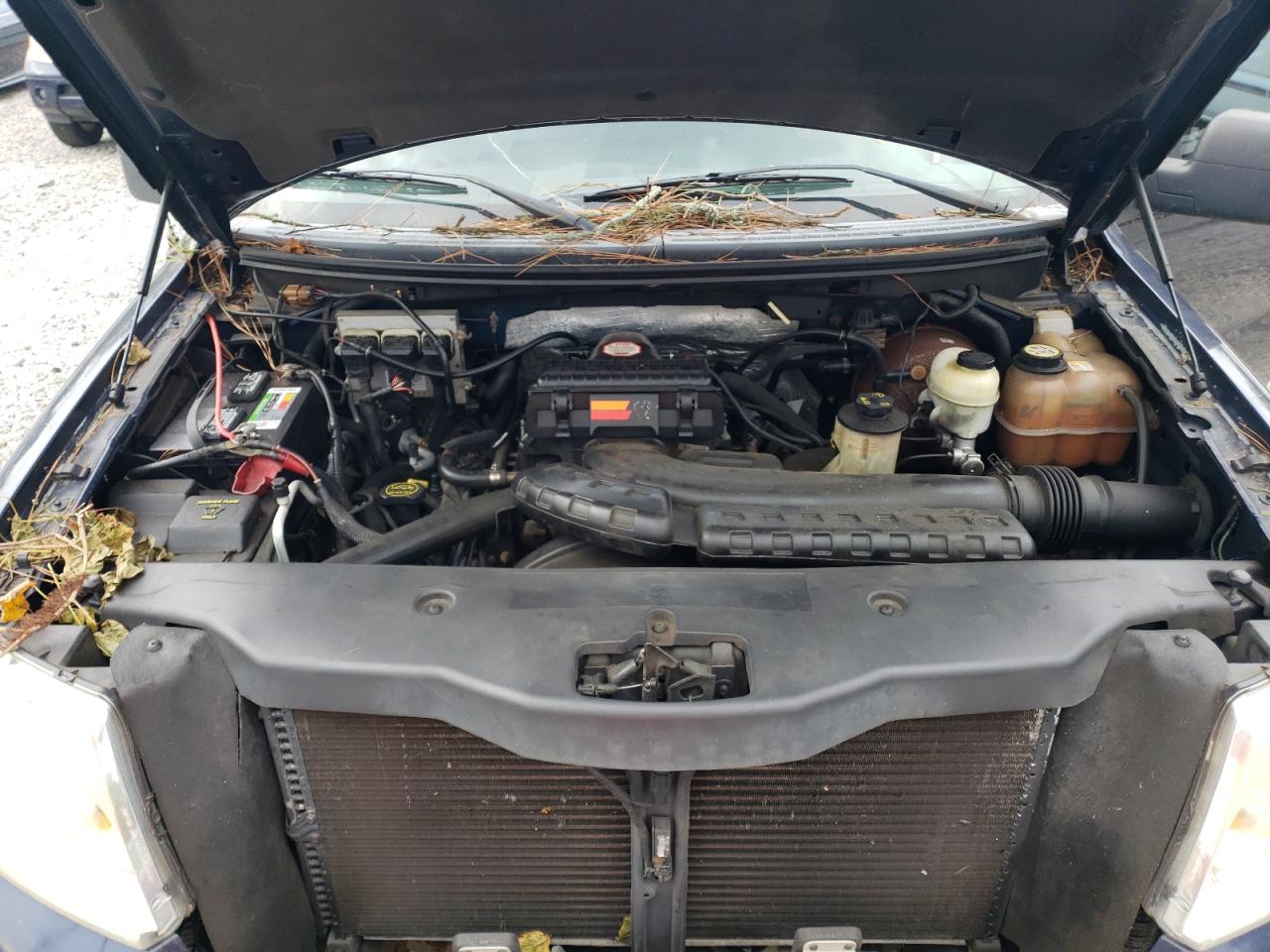 2006 Ford F150 Supercrew VIN: 1FTPW14VX6KC99096 Lot: 74743844