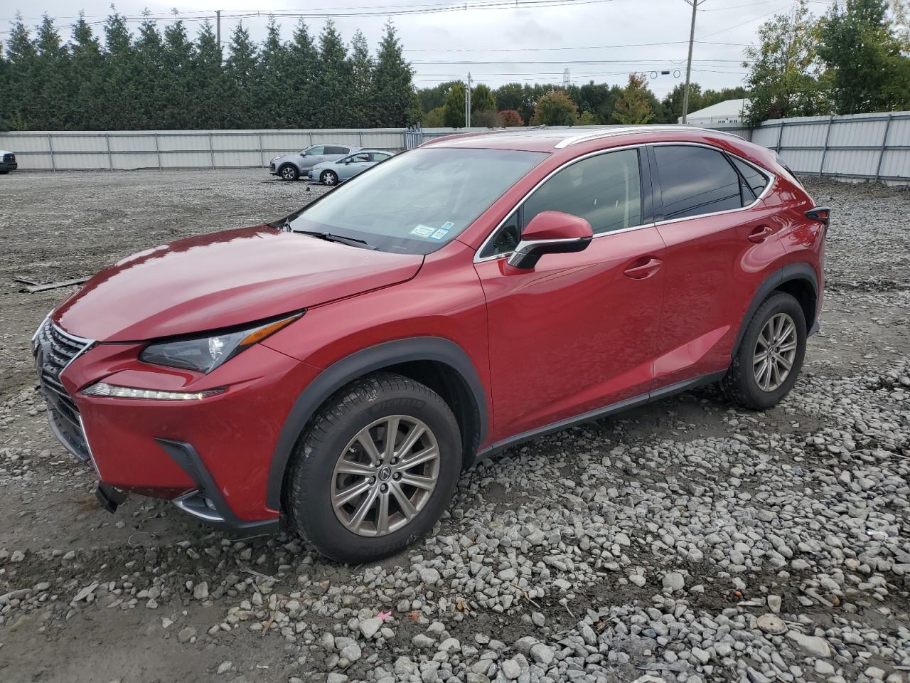 JTJBARBZ9K2211868 2019 LEXUS NX - Image 1