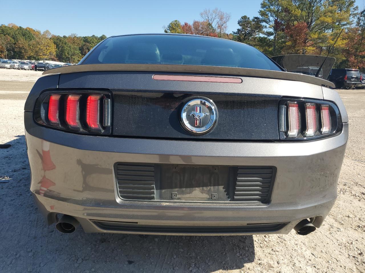 2014 Ford Mustang VIN: 1ZVBP8AM0E5216510 Lot: 78090864