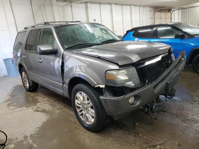  FORD EXPEDITION 2013 Gray