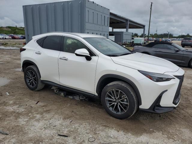 JTJADCAZ5R2011145 Lexus NX 250 Bas 4