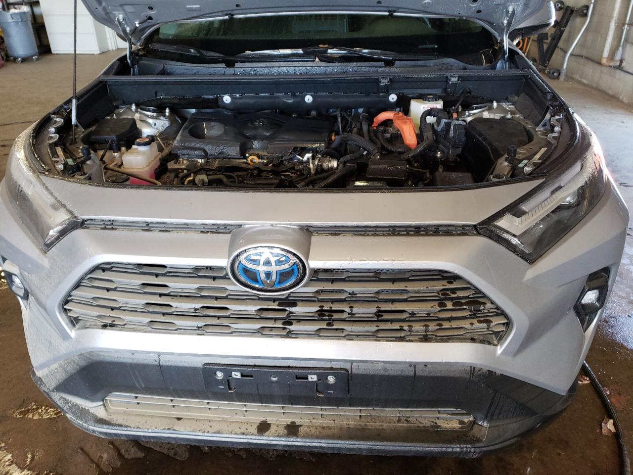 VIN 2T3B6RFV9RW067252 2024 TOYOTA RAV4 no.12