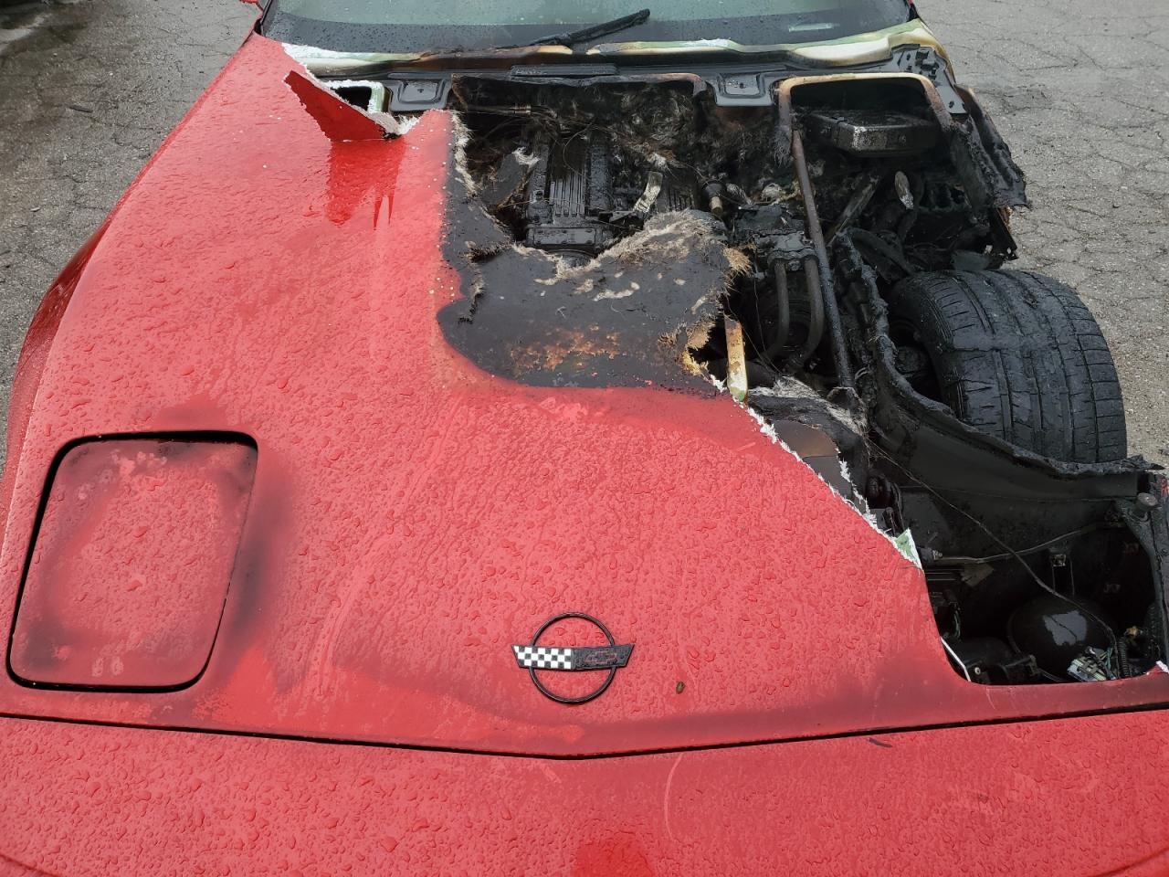 1992 Chevrolet Corvette VIN: 1G1YY33P6N5114125 Lot: 74568724