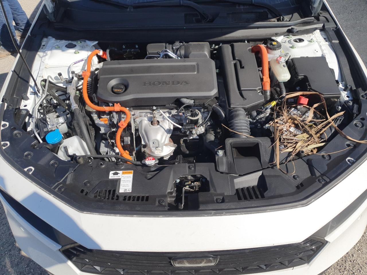 2024 Honda Accord - Image 11