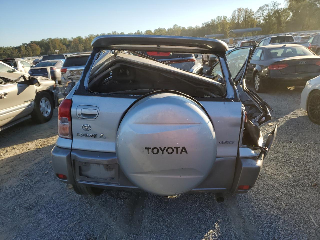 2001 Toyota Rav4 VIN: JTEHH20V010101250 Lot: 76065724