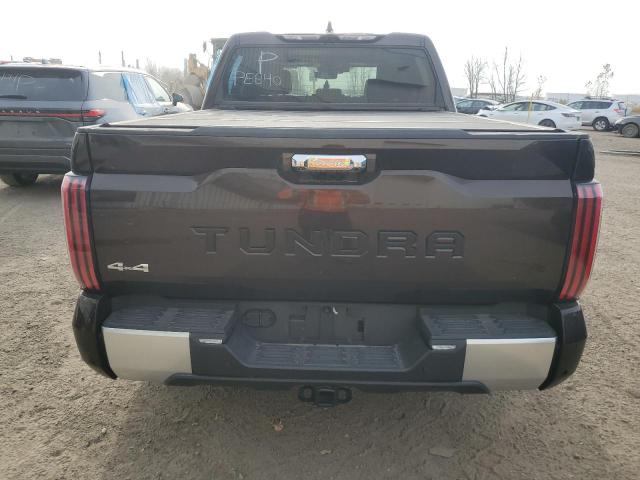  TOYOTA TUNDRA 2023 Коричневий