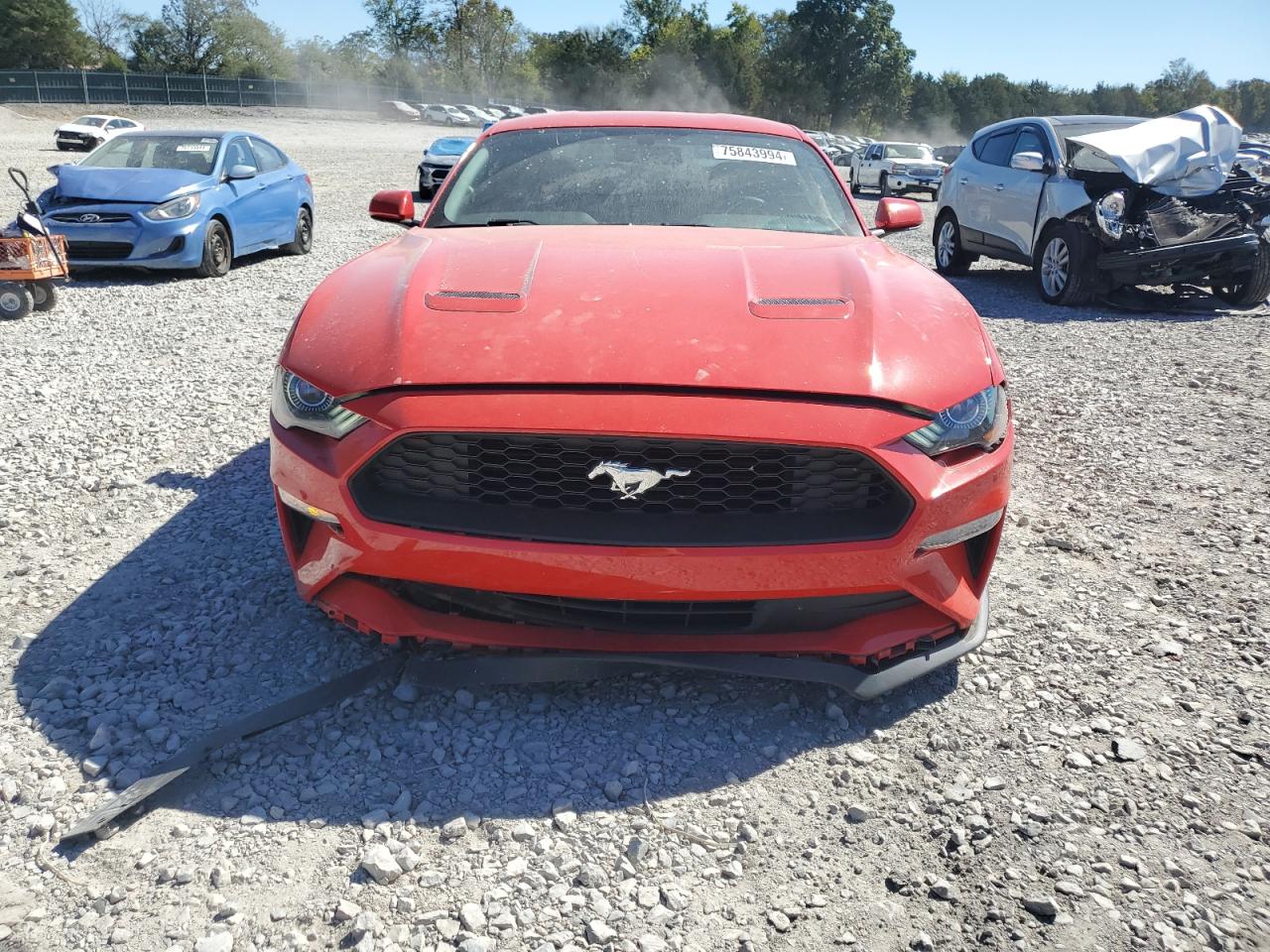 2020 Ford Mustang - Image 5
