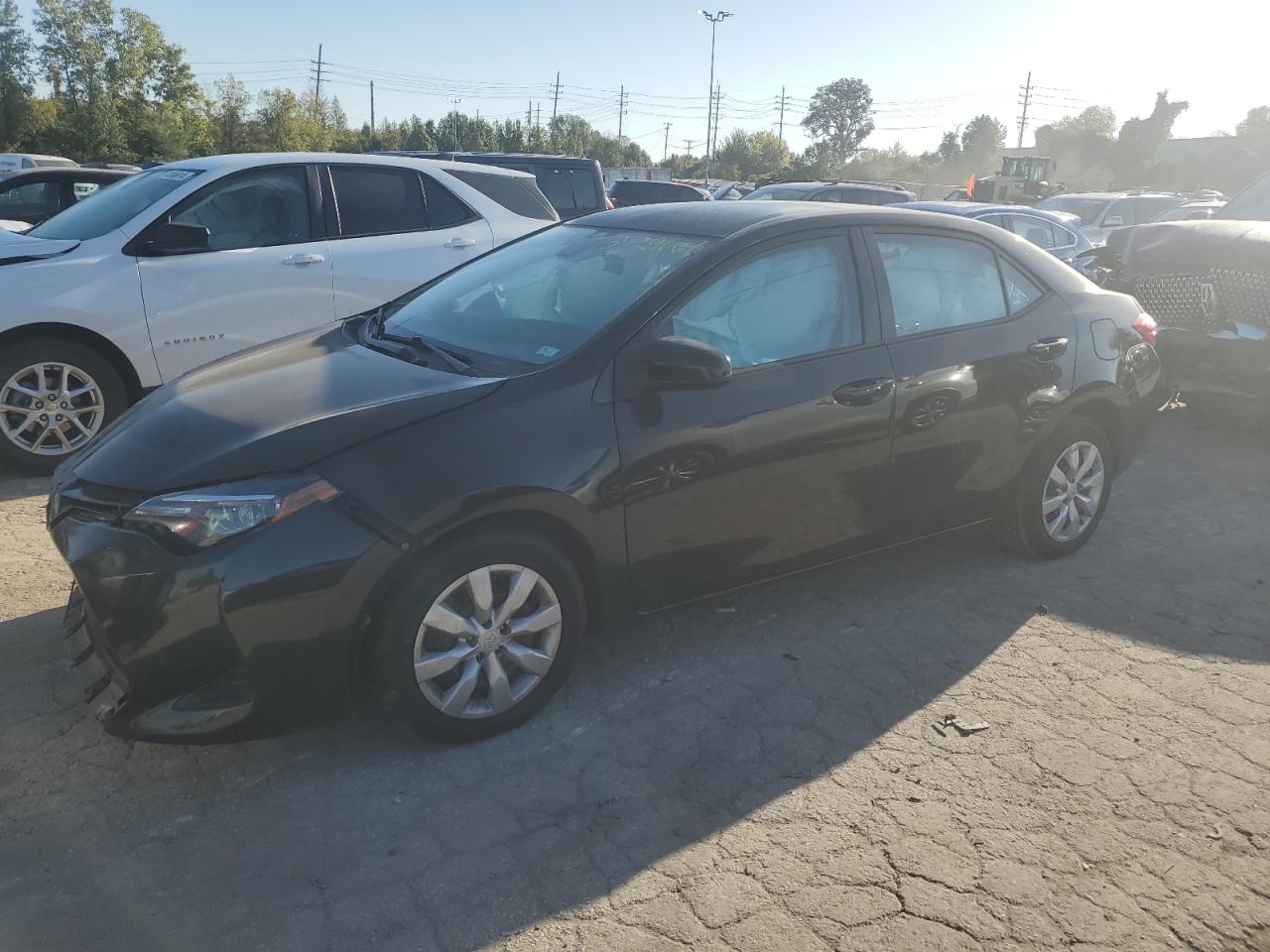 2019 Toyota Corolla - Image 1