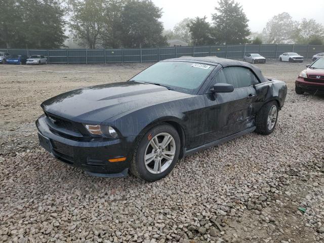 2010 Ford Mustang  for Sale in Madisonville, TN - All Over