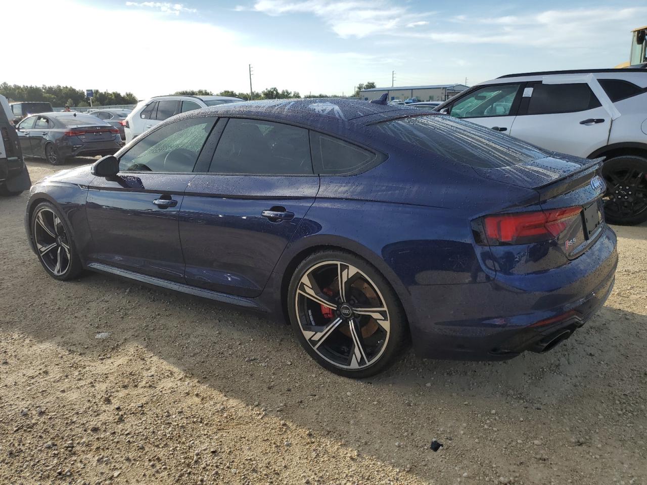 WUABWCF54KA907989 2019 Audi Rs5